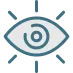 Icon Vision